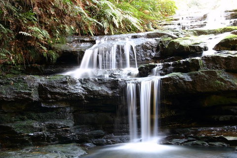 Private 10-hour Tour To Blue Mountains From Sydney - Hotel Pick Up & Drop Off - Tourism Caloundra 6