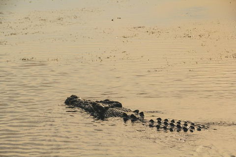 Yellow Water Cruise - Kakadu - Tourism Caloundra 5