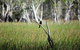 ETHICAL ADVENTURES - Dry Season Litchfield Region, Max 10 Guests - thumb 2