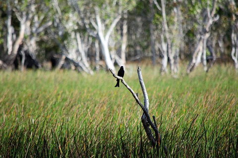 ETHICAL ADVENTURES - Dry Season Litchfield Region, Max 10 Guests - Tourism Caloundra 2