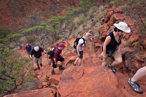 Uluru, Kata Tjuta And Kings Canyon Camping Safari From Alice Springs - Tourism Caloundra 3