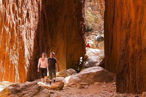 Alice Springs, Uluru Ayers Rock & Kings Canyon 8 Days Touring Package - Tourism Caloundra 5