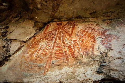 Arnhem Land Injalak Hill Full-Day Tour From Darwin - Tourism Caloundra 1
