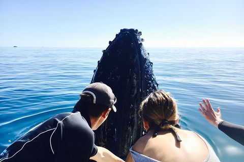 Remote Fraser Island Experience - Tourism Caloundra 12