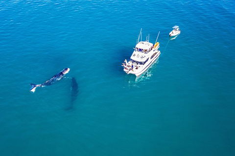 Remote Fraser Island Experience - Tourism Caloundra 11