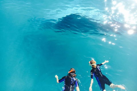 Remote Fraser Island Experience - Tourism Caloundra 10