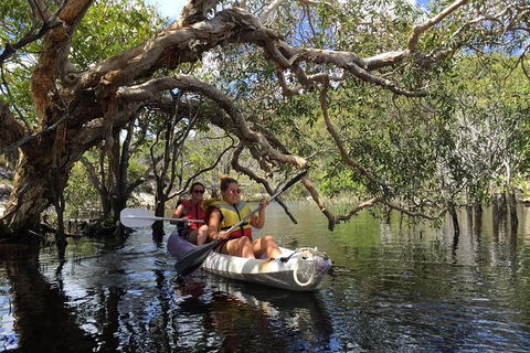 Remote Fraser Island Experience - Tourism Caloundra 7