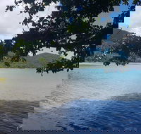 Full Day Tour in the Daintree - Tourism Caloundra