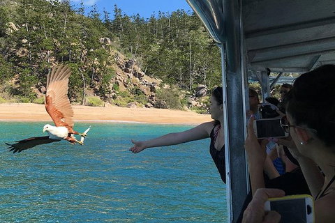 Aquascene Magnetic Island Discovery Tour - Tourism Caloundra 2