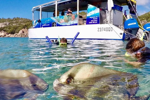Aquascene Magnetic Island Discovery Tour - Tourism Caloundra 4