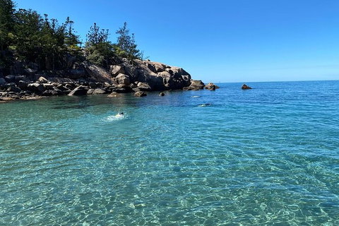 Aquascene Magnetic Island Discovery Tour - Tourism Caloundra 9