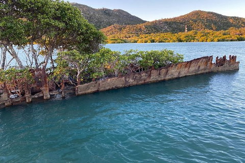 Aquascene Magnetic Island Discovery Tour - Tourism Caloundra 1