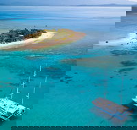Wavedancer Low Isles Great Barrier Reef Sailing Cruise from Cairns - Tourism Caloundra