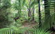 Private Transfer 1 To 3 Passengers, Cairns <> Port Douglas. One Way. - thumb 4