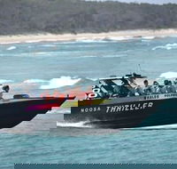 Noosa Thriller - 500hp Ocean Adventure Ride - Tourism Caloundra