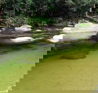 Afternoon Half-Day Daintree Rainforest and River Tour - Tourism Caloundra