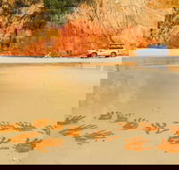 Great Beach Drive 4WD Day Tour Between Noosa and Rainbow Beach - Tourism Caloundra