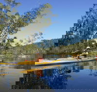 Self-Guided Noosa Everglades Kayak Tour - Tourism Caloundra