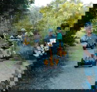 Gold Coast Segway Safari Adventure 60-minutes - Tourism Caloundra