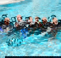 3-Day Open Water Certification Course on the Gold Coast - Tourism Caloundra