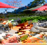 Sunshine Coast Private Gourmet Food and Wine Tour - Tourism Caloundra