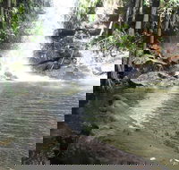 The Gold ExperiencePrivate Day Tour In Lamington National Park or Mt Tambourine - Tourism Caloundra