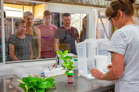 Australian Butterfly Sanctuary - Tourism Caloundra 6