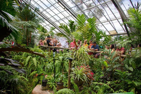 Australian Butterfly Sanctuary - Tourism Caloundra 4