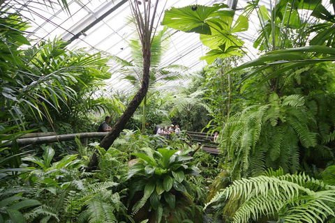 Australian Butterfly Sanctuary - Tourism Caloundra 1