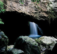 Springbrook National Park  Gold Coast Full Day Luxury Tour from Brisbane - Tourism Caloundra