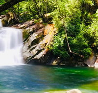 Wooroonooran National Park Rainforest and Wildlife Day Trip from Cairns - Tourism Caloundra