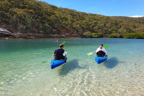 Great Keppel Island Leekes Creek Guided Kayak Tour - Tourism Caloundra 2