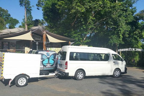 Airport Transfer To Or From Cairns Hotels For Up To 13 People (7am-10pm) - Tourism Caloundra 3