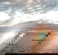 Sunrise Paddleboarding Group Lesson at Palm Cove Beach - Tourism Caloundra