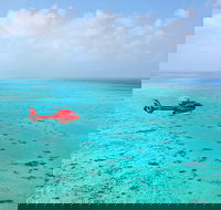 Port Douglas - Cruise and 10 Minute Scenic Flight - Tourism Caloundra