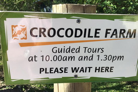 Cairns City Tour - Tourism Caloundra 3