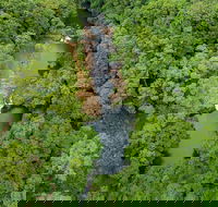 Full-Day Guided Hinterland Adventure Tour in Queensland - Tourism Caloundra