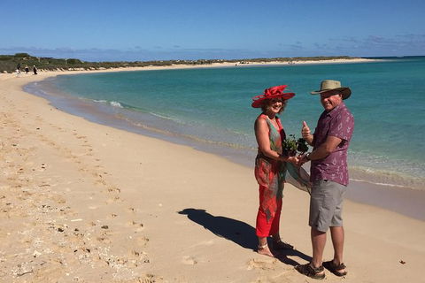 Elope In Paradise - Weddings At Mission Beach - Tourism Caloundra 6