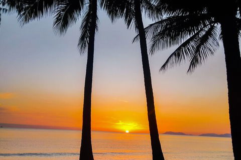 Airport Transfers Between Cairns Airport And Palm Cove - Tourism Caloundra 4