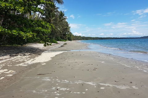 Airport Transfers Between Cairns Airport And Palm Cove - Tourism Caloundra 2