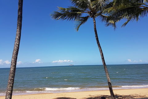 Airport Transfers Between Cairns Airport And Palm Cove - Tourism Caloundra 8