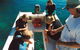 Great Barrier Reef Luxury Expedition Cruise Cabin Booking 7 Days 6 Night - thumb 1