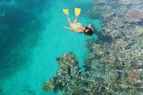 Great Barrier Reef Luxury Expedition Cruise Cabin Booking 7 Days 6 Night - Tourism Caloundra 8