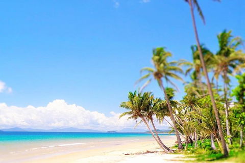 Airport Transfer - Cairns Airport To Mission Beach - Tourism Caloundra 1