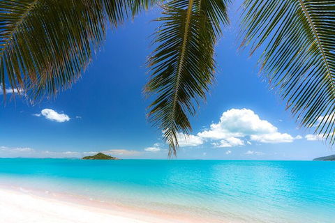 Reef, Wildlife & Rainforest - Reef & Beyond Guided Holidays - Tourism Caloundra 4