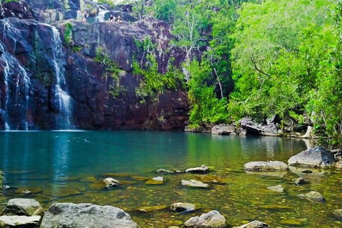 Reef, Wildlife & Rainforest - Reef & Beyond Guided Holidays - Tourism Caloundra 0