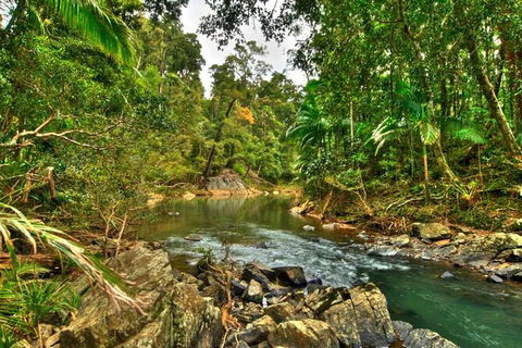 Reef, Wildlife & Rainforest - Reef & Beyond Guided Holidays - Tourism Caloundra 3