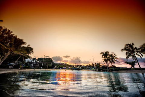 Reef, Wildlife & Rainforest - Reef & Beyond Guided Holidays - Tourism Caloundra 6
