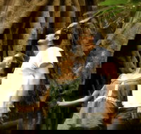 Daintree and Cape Tribulation Full Day Guided Tour - Tourism Caloundra