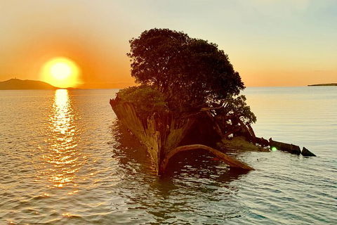 Aquascene Magnetic Island Sunset & Shipwreck Tour - Tourism Caloundra 3